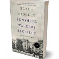 3D view of Premade Historical Book Cover - Swirl