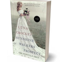 3D view of Premade Historical Book Cover - Celeste