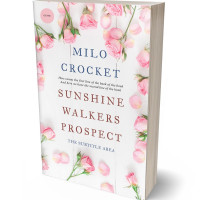 3D view of Premade Romance Book Cover - Dawn Pink