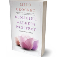 3D view of Premade Religion & Spirituality Book Cover - Lola