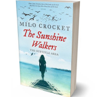 3D view of Premade Romance Book Cover - Link Water