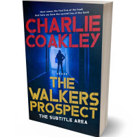 3D view of Chestnut Rose #6467 - Premade Mystery & Thriller & Suspense Book Cover