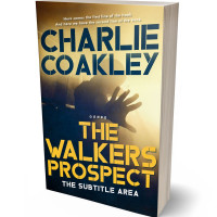 3D view of Premade Mystery & Thriller & Suspense Book Cover - Rob Roy