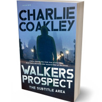 3D view of Premade Mystery & Thriller & Suspense Book Cover - Big Stone