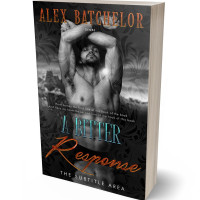 Tablet view of Mine Shaft #6511 - Premade Erotica Book Cover