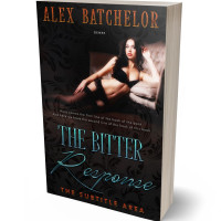 3D view of Premade Erotica Book Cover - Cod Gray