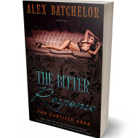 3D view of Premade Erotica Book Cover - Gondola