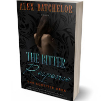 3D view of Premade Erotica Book Cover - Cod Gray