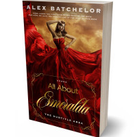 3D view of Premade Romance Book Cover - Rebel