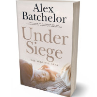 3D view of Premade Romance Book Cover - Swiss Coffee