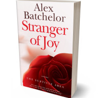 3D view of Premade Romance Book Cover - Fantasy