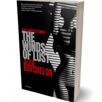 3D view of Premade Erotica Book Cover - Cod Gray