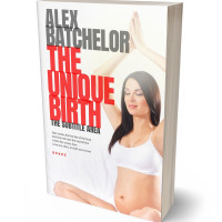 Tablet view of Persian Red #6604 - Premade Health & Mind & Body Book Cover