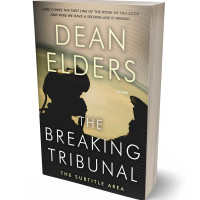 3D view of Premade Action & Adventure Book Cover - Pavlova