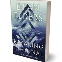 Tablet view of Pickled Bluewood #6651 - Premade Abstract Book Cover