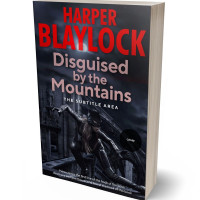 3D view of Premade Action & Adventure Book Cover - Ebony Clay