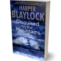 3D view of Premade Mystery & Thriller & Suspense Book Cover - San Juan