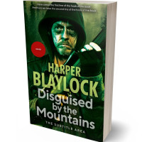 3D view of Premade Mystery & Thriller & Suspense Book Cover - Green Smoke