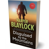 3D view of Premade Mystery & Thriller & Suspense Book Cover - Tan