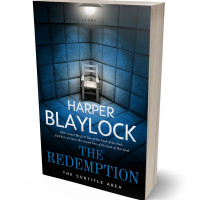 3D view of Premade Mystery & Thriller & Suspense Book Cover - Firefly