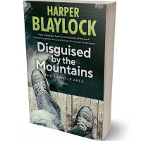 3D view of Premade Abstract Book Cover - Outer Space