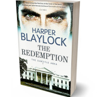 3D view of Premade Mystery & Thriller & Suspense Book Cover - Green White