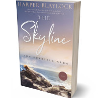 3D view of Shady Lady #6752 - Premade Romance Book Cover