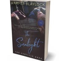 Tablet view of Mine Shaft #6771 - Premade Teen & Young Adult Book Cover