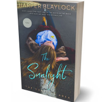 3D view of Premade Teen & Young Adult Book Cover - Ship Gray