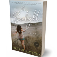 3D view of Premade Romance Book Cover - Silver Sand