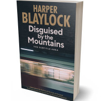 Tablet view of Outer Space #6779 - Premade Mystery & Thriller & Suspense Book Cover