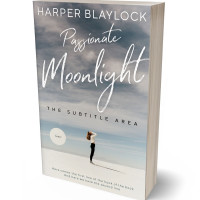 3D view of Premade Romance Book Cover - Gray Nickel