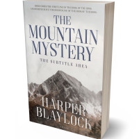 3D view of Premade Mystery & Thriller & Suspense Book Cover - Kabul