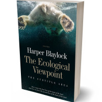 Tablet view of Tea #6810 - Premade Action & Adventure Book Cover