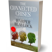 Tablet view of Gray Chateau #6826 - Premade Politics & Law & Society Book Cover