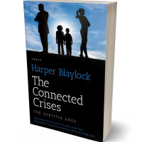 Tablet view of Pigeon Post #6827 - Premade Politics & Law & Society Book Cover