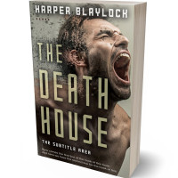 3D view of Premade Mystery & Thriller & Suspense Book Cover - Birch