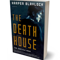 3D view of Premade Mystery & Thriller & Suspense Book Cover - Ebony