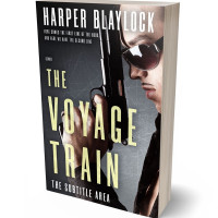 3D view of Premade Action & Adventure Book Cover - Thunder