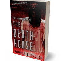 3D view of Premade Horror Book Cover - Coffee Bean