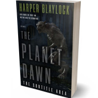 3D view of Premade Fantasy Book Cover - Woodsmoke