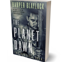 Tablet view of Bright Gray #6883 - Premade Historical Book Cover