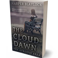 Tablet view of Ship Gray #6884 - Premade Teen & Young Adult Book Cover