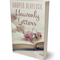 Tablet view of Foggy Gray #6925 - Premade Romance Book Cover