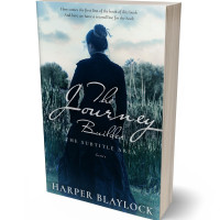 3D view of Premade Mystery & Thriller & Suspense Book Cover - Nebula