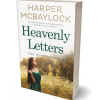 3D view of Premade Teen & Young Adult Book Cover - Barley Corn