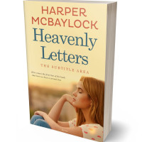 3D view of Premade Teen & Young Adult Book Cover - Potters Clay