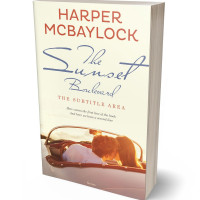 Tablet view of Rum Swizzle #6952 - Premade Travel Book Cover