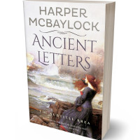 3D view of Premade Historical Book Cover - Masala