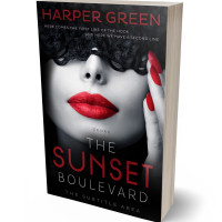 3D view of Premade Erotica Book Cover - Thunder